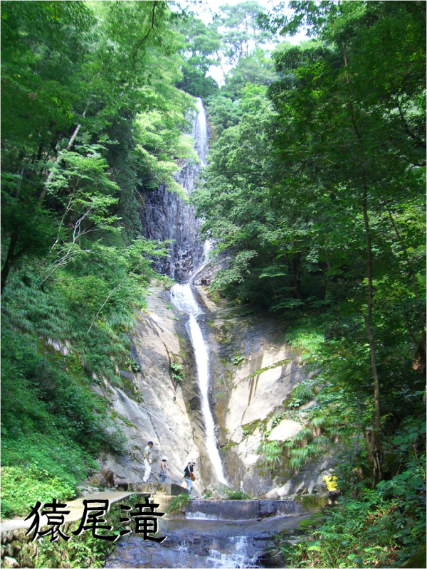 《猿尾滝》「日本の滝百選」に選ばれている猿尾滝！冬の大雪で水量も豊富、見応え十分